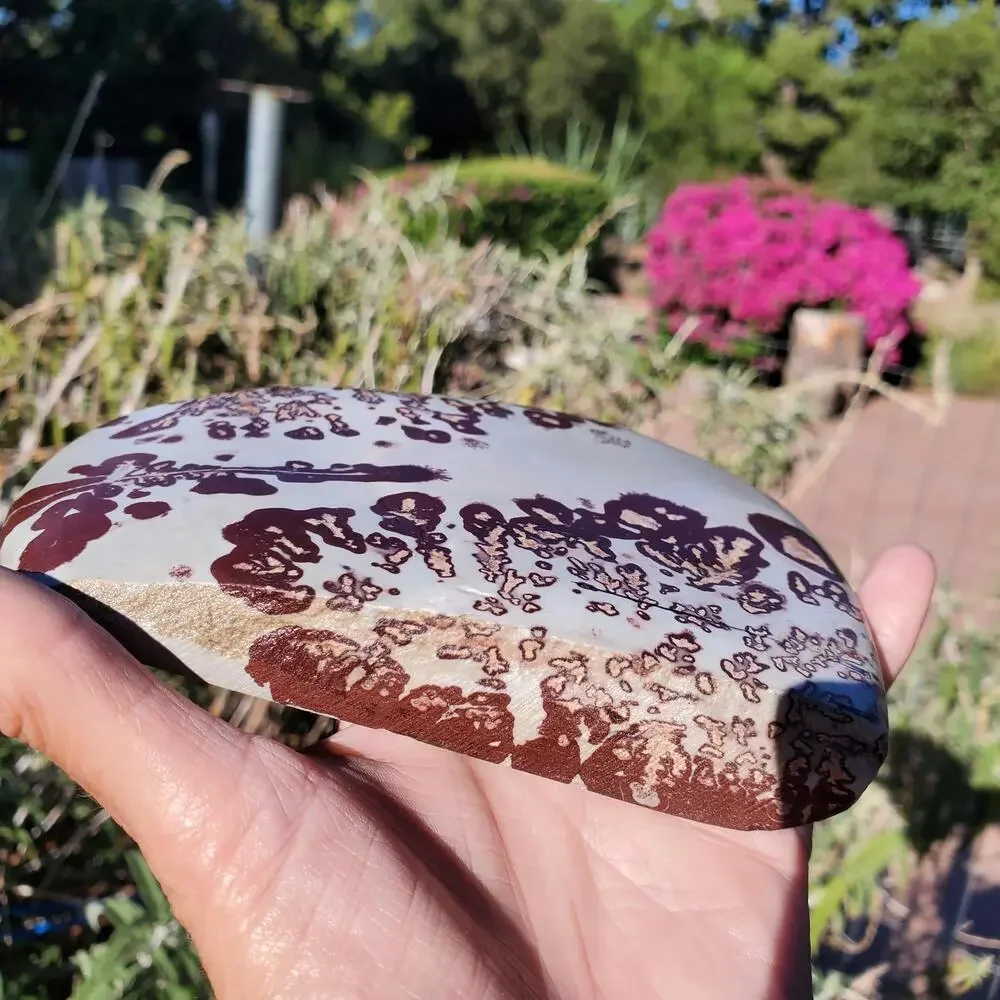 Picture Stone Jasper Dendritic Dendrite Display Freeform 706 Gram
